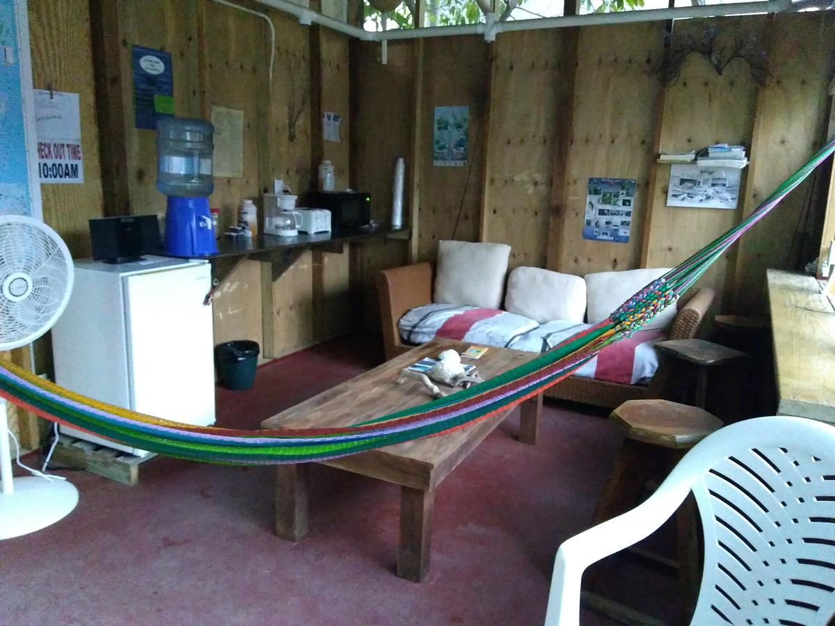 Placencia Hostel Exterior photo
